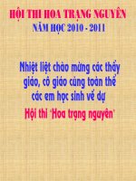 HỘI THI HOA TRẠNG NGUYÊN