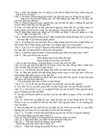 cau hoi on hoc sinh gioi dia li 10