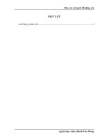 Báo cáo môi giới bất động sản tại Công ty Cổ Phần Vincom