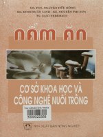 Nấm ăn cơ sở khoa học và công nghệ nuôi trồng = Edible mushroom scientific base and cultivation technique - sách tham khảo