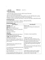 Giáo án - Đạo đức -lớp 5