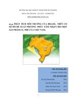 Chiến lược mở rộng thị trường xuất khẩu hàng hóa của Việt Nam sang Barxin