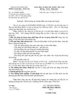 28/PGDĐT-GDMN ngày 15/02/2011 về việc báo cáo sơ kết ...