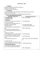 Giáo án sinh hoạt Đội