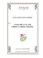 SKKN Cách chữa các lỗi chính tả thông thường cho hs THCS