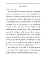 TỰ DO HÓA THƯƠNG MẠI CƠ HỘI VÀ THÁCH THỨC ĐỐI VỚI CÔNG TY CỔ PHẦN VẬN TẢI BIỂN BẮC