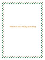 Phân Tích Môi Trường Marketing