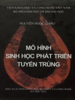 Mô hình sinh học phát triển tuyến trùng