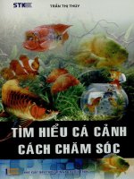 Tìm hiểu cá cảnh-Cách chăm sóc