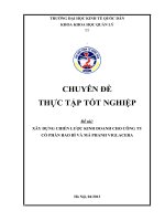 xây dựng chiến lược kinh doanh ở Công ty cổ phần bao bì và má phanh Viglacera