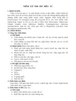 Tài liệu về bệnh viêm cơtim do siêu vi ở trẻ