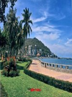 Toán 1- Số có 2 chữ số