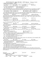 Đè thi tham khảo HÓA 11 Nâng cao HKII hướng dẩn giải