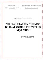 SKKN Phương pháp tìm tham số để hàm số biền thiên trên một miền