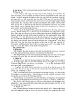 SKKN-Công tác đội