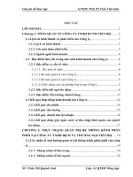 Hoàn thiện quản trị hệ thống kênh phân phối tại Công ty TNHH DVTM Tiến Bộ