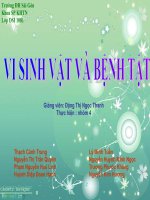 vi sinh vat va benh tat