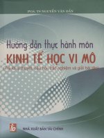 Hướng dẫn thực hành môn Kinh tế học vi mô - Trả lời lý thuyết, câu hỏi, trắc nghiệm và giải bài tập