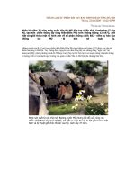 D:hình ảnh xác B52 ở hà nội.doc