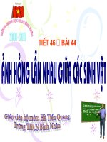 Tiết 46 Ảnh hưởng lẫn nhau giữa các sinh vật
