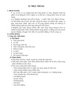 Tài liệu về bệnh lỵ trực trùng