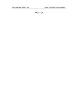 đồ án Tìm hiểu về các loại hạt giống hoa