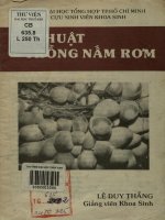 Kỹ thuật trồng nấm rơm
