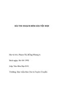 tiểu luận nhà sàn truyền thống của người tày ở nà hang (tuyên quang)