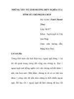 Tiểu Luận Những yếu tố ảnh hưởng đến nghĩa của tính từ chỉ phẩm chất
