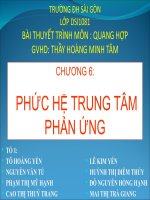 PHỨC HỆ TRUNG TÂM PHẢN  ỨNG