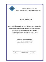 ĐIỀU TRA ẢNH HƯỞNG CỦA KỸ THUẬT CANH TÁC ĐẾN BỆNH CHỔI RỒNG DO NHỆN LÔNG NHUNG (Eriophytes sp.) TRÊN NHÃN TIÊU DA BÒ TẠI HUYỆN LONG HỒ, TỈNH VĨNH LONG