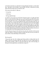 Lý thuyết trò chơi được các nhà kinh tế sử dụng để phân tích hành vi có tính chiến lược