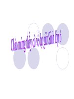 Bài 15. Cấu tạo trong của thân non