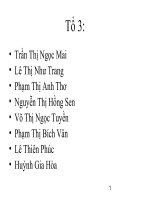 Lịch sử và giai đoạn đầu của sự phát triển quang hợp