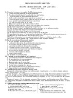 De cuong on thi HSG anh 9