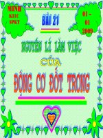 Bai 21 - Nguyen li lam viec cua dong co dot trong