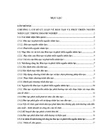 Hoàn thiện công tác đào tạo và phát triển nguồn nhân lực tại Công ty CP Trí Tuệ Mạng