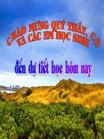 Bài 23. Dãy hoạt động hóa học của kim loại