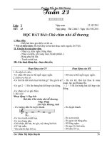 GA Âm Nhạc CKTKN Tuần 23- Lớp 1,2,3,4,5