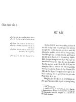 LỊCH SỬ NỘI CHIẾN Ở VN