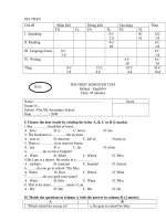 Đề thi HKI - Tiếng Anh 6