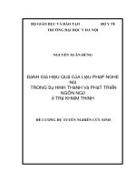ĐÁNH GIÁ HIỆU QUẢ CỦA LIỆU PHÁP NGHE NÓI TRONG SỰ HÌNH THÀNH VÀ PHÁT TRIỂN NGÔN NGỮ Ở TRẺ KHIẾM THÍNH