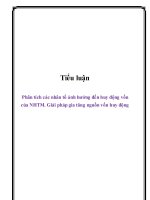 Tiểu Luận: Phân Tích Các Nhân Tố Ảnh Hưởng Đến Huy Động Vốn Của Nhtm. Giải Pháp Gia Tăng Nguồn Vốn Huy Động