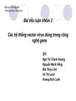 các hệ thống vector virus dùng trong công nghệ gene