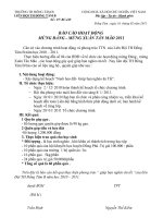 báo cao mưng Đảng mừng Xuân - th Đồng Tâm B