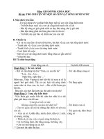 Một số con vật sống dưới nước