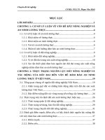 Thực trạng và giải pháp ổn định đất nông nghiệp nhằm đảm bảo an ninh lương thực ở Việt Nam trong quá trình đẩy mạnh CNH- HĐH