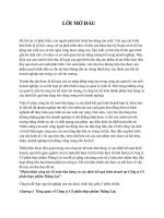 “Hoàn thiện công tác kế toán bán hàng và xác định kết quả kinh doanh tại công ty cổ phần thực phẩm thắng lợi