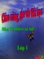 an toan giao thong tren duong di hoc