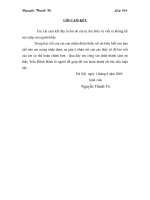 tiểu luận Tình hình của một số hãng hàng không thế giới và tình hình của Việt Nam airlines thời gian gần đây